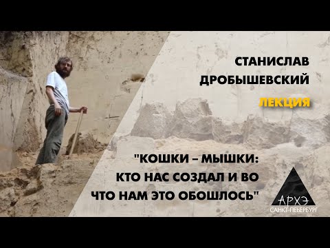 Видео: Станислав Дробышевский: "Кошки – мышки: кто нас создал и во что нам это обошлось"