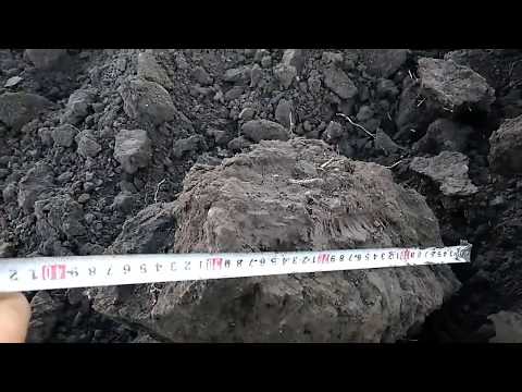 Видео: Чи потрібно орати? Як виміряти глибину оранки?