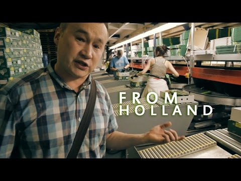 Видео: #096 Огурцы. Профессиональная гидропоника в Голландии. Огуречная теплица (1-я серия).