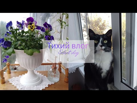 Видео: ☘Проведите этот тихий и уютный день в моём доме ☘.Окунитесь в атмосферу спокойствия и умиротворения🌼