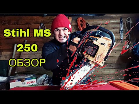 Видео: Бензопила универсальная Stihl MC 250 честный обзор от  арборист #обзор#бензопила#заготовкадров