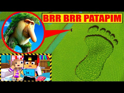 Видео: МОЙ ДРОН СНЯЛ НАСТОЯЩЕГО BRR BRR PATAPIM в Реальной Жизни в МАЙНКРАФТ ДЕВУШКА ВИДЕО MINECRAFT