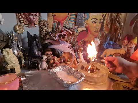 Видео: Агресивна защита и възмездие на врагове