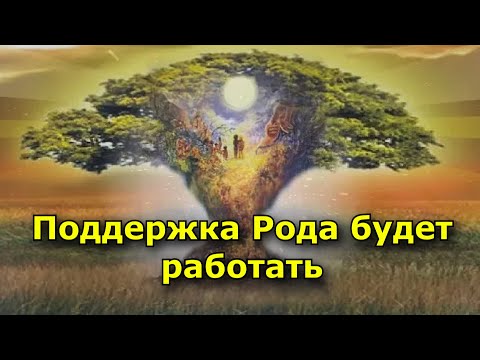 Видео: Поддержка Рода будет работать, если соблюдать следующие правила