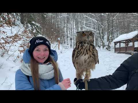 Видео: Зачем Буковель?! Карпаты зимой | Пилипец, Изки, Синевир