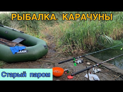 Видео: РЫБАЛКА. КАРАЧУНЫ. СТАРЫЙ ПАРОМ.