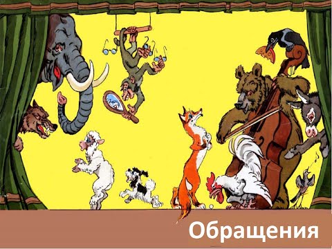 Видео: обращение