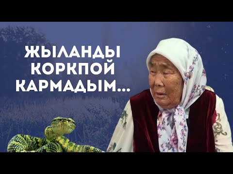Видео: Жашымда көргөм мээнетти, Карыганда көрдүм дөөлөттү...