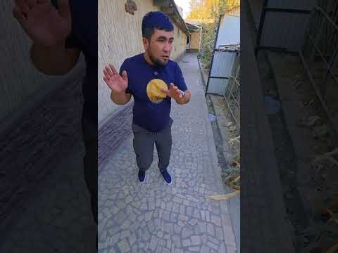 Видео: 20 октября 2025 г.
