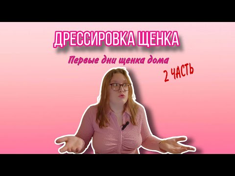 Видео: Дрессировка щенка| Первые дни щенка дома| Лина Хани| Вредные советы
