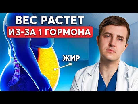 Видео: ВОТ почему ты не можешь похудеть! Гормон, который провоцирует ожирение...