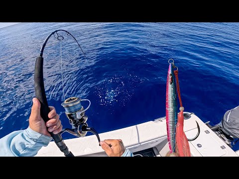 Видео: Скоростной джиггинг на полке