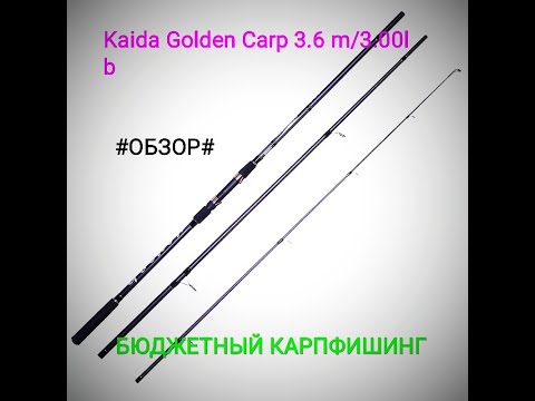 Видео: KAIDA GOLDEN CARP 3.6 m 3.00 lb #ОБЗОР#