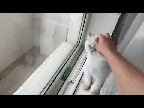 Видео: Мобильный напольный кондиционер на балконе. Опыт использования