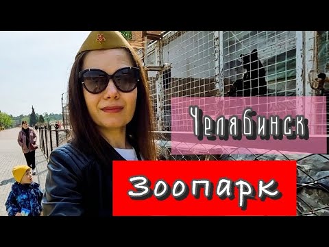 Видео: Почему в Челябинске зоопарк лучше чем в Москве? В шоке от животных