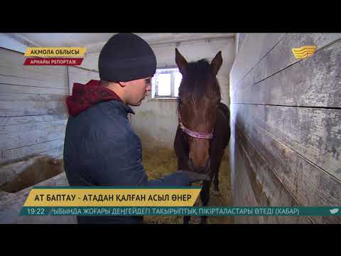 Видео: Елімізде қазақтың қазанаты мен жабы тұқымдары сақталған