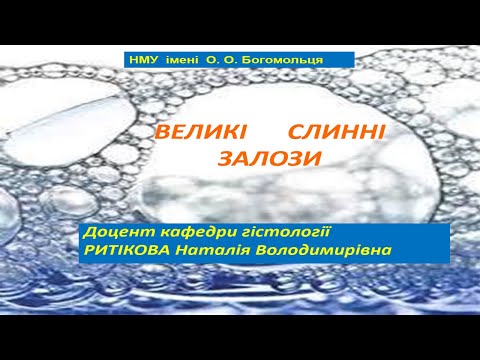 Видео: Лекція   Слинні  залози