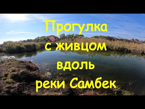 Видео: Река Самбек. Ловля щуки на живца.