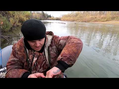 Видео: Рыбалка на реке Четь.