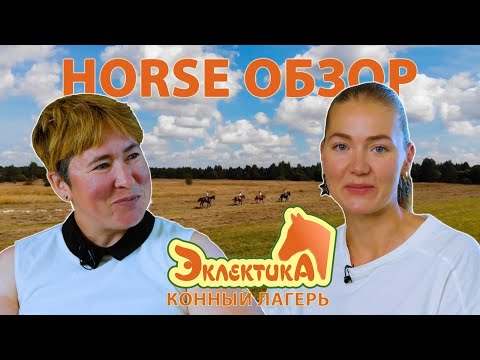 Видео: HORSE обзор | Конный лагерь "Эклектика"