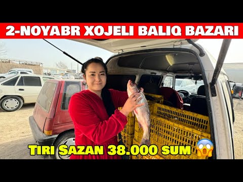 Видео: 2-НОЯБРЯ ХОЖЕЛИ БАЛЫК БАЗАРЫ АРЗАНЛАП БАСЛАДЫ БАЛЫКЛАР КОРЕМИЗ