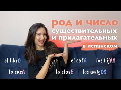 Видео: Род и число существительных и прилагательных в испанском языке
