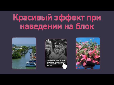 Видео: Красивый эффект при наведении на блок