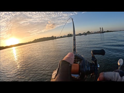 Видео: Безумный утренний клев на реке Брисбен!