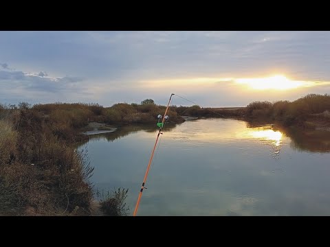 Видео: ЛЕЩ СПАС НАШУ РЫБАЛКУ/ в октябре на Нуре/ а может не последняя вода)))