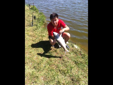 Видео: Нарынқол.Балық аулау