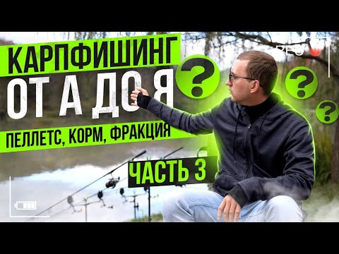 Видео: Карпфишинг от А до Я  Часть 3 Пеллетс, Фракция, Объем корма!