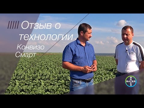 Видео: Отзыв о технологии Конвизо Смарт