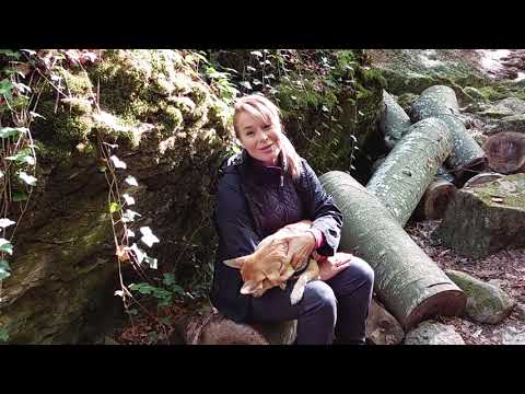 Видео: Вълнуващо преживяване до водопад "Скока"