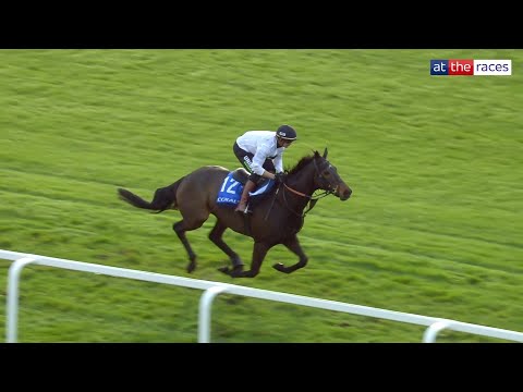 Видео: КОНСТИТЬЮШН ХИЛЛ промчался галопом по Ньюбери!