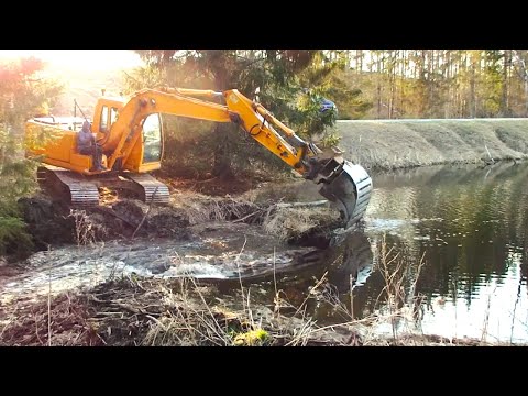 Видео: Удаление бобровой плотины экскаватором Осушение большого бобрового пруда