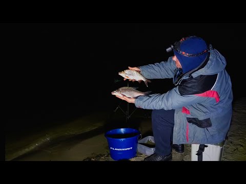 Видео: Ноябрь,фидер,лещ активен в темное время суток. Рыбалка 2025