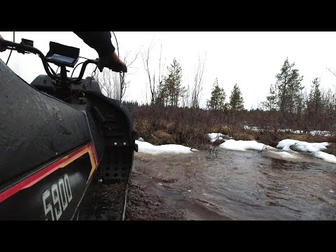 Видео: Майские заплывы / Закрытие сезона/ Медвежатина