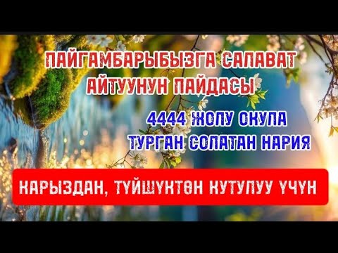 Видео: СОЛАТАН НАРИЯ/ ПАЙГАМБАРЫБЫЗГА САЛАВАТ АЙТУУНУН ПАЙДАЛАРЫ