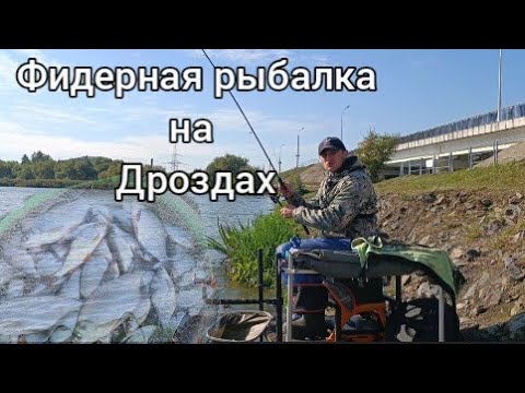 Видео: Фидерная рыбалка на  водохранилище Дрозды. Рыбалка на пикер в Сентябре.