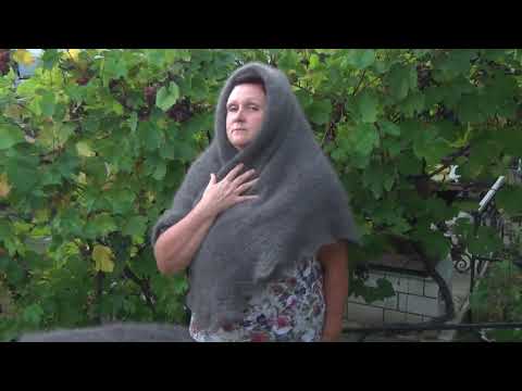 Видео: 89507716355   Пуховые платочки и косынка. Связаны из местного пуха. Натуральные.