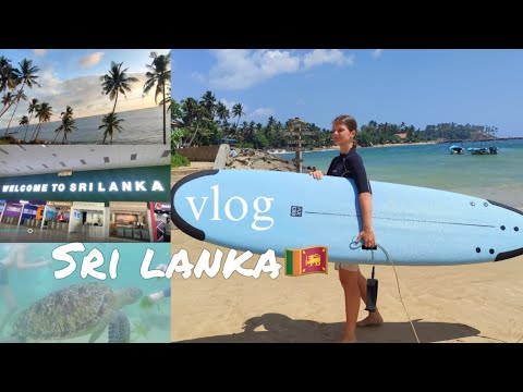 Видео: влог шри-ланка