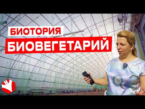 Видео: Биовегетарий в Биотории | Фермерский бизнес