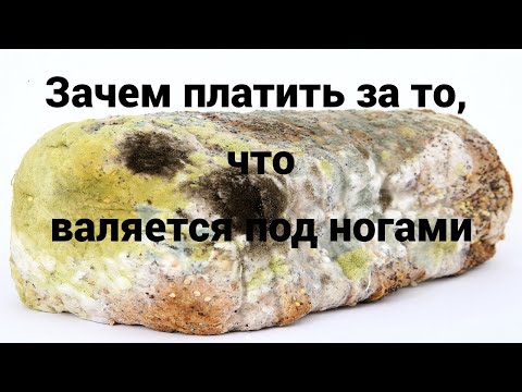 Видео: Не покупайте триходерму. Кругом обман.