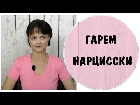 Видео: Гарем нарцисски * НРЛ Женский нарциссизм