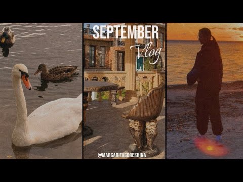 Видео: Влог: лес, прогулки по Питеру и время с семьей | Ораниенбаум | Колодец Нобеля 