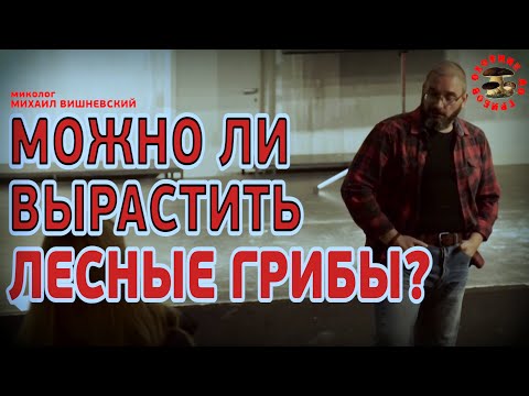Видео: Можно ли вырастить лесные грибы? отвечает миколог Михаил Вишневский