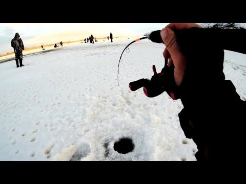 Видео: КАТУШКА КЛИНОМ!!! СПИНИНГ В ДУГУ!!! ЭТОТ КОНЬ НЕ ЛЕЗЕТ В ЛУНКУ!! РЫБАЛКА НА СУДАКА!