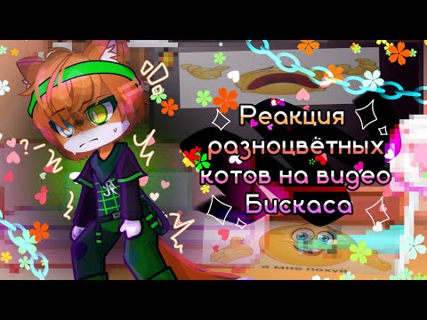 Видео: реакция разноцветных котов на видео бискаса 
