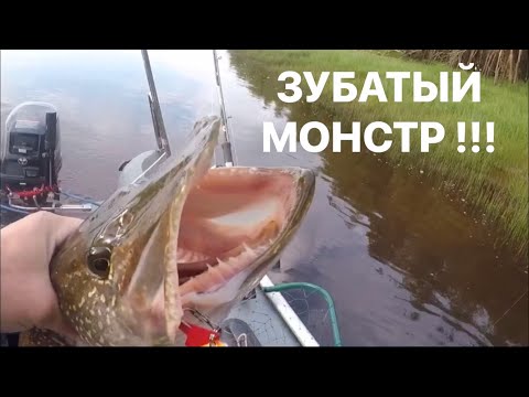 Видео: ХОТЕЛ ПОЙМАТЬ ТРОФЕЙ? ПОЛУЧИ / РЫБАЛКА В НИЖНЕВАРТОВСКЕ