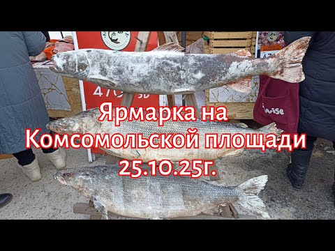 Видео: Ярмарка на Комсомольской площади 